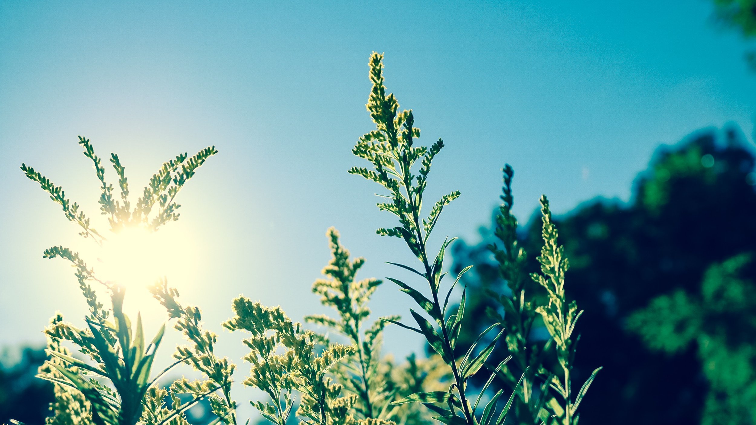 Importance of Vitamin D!