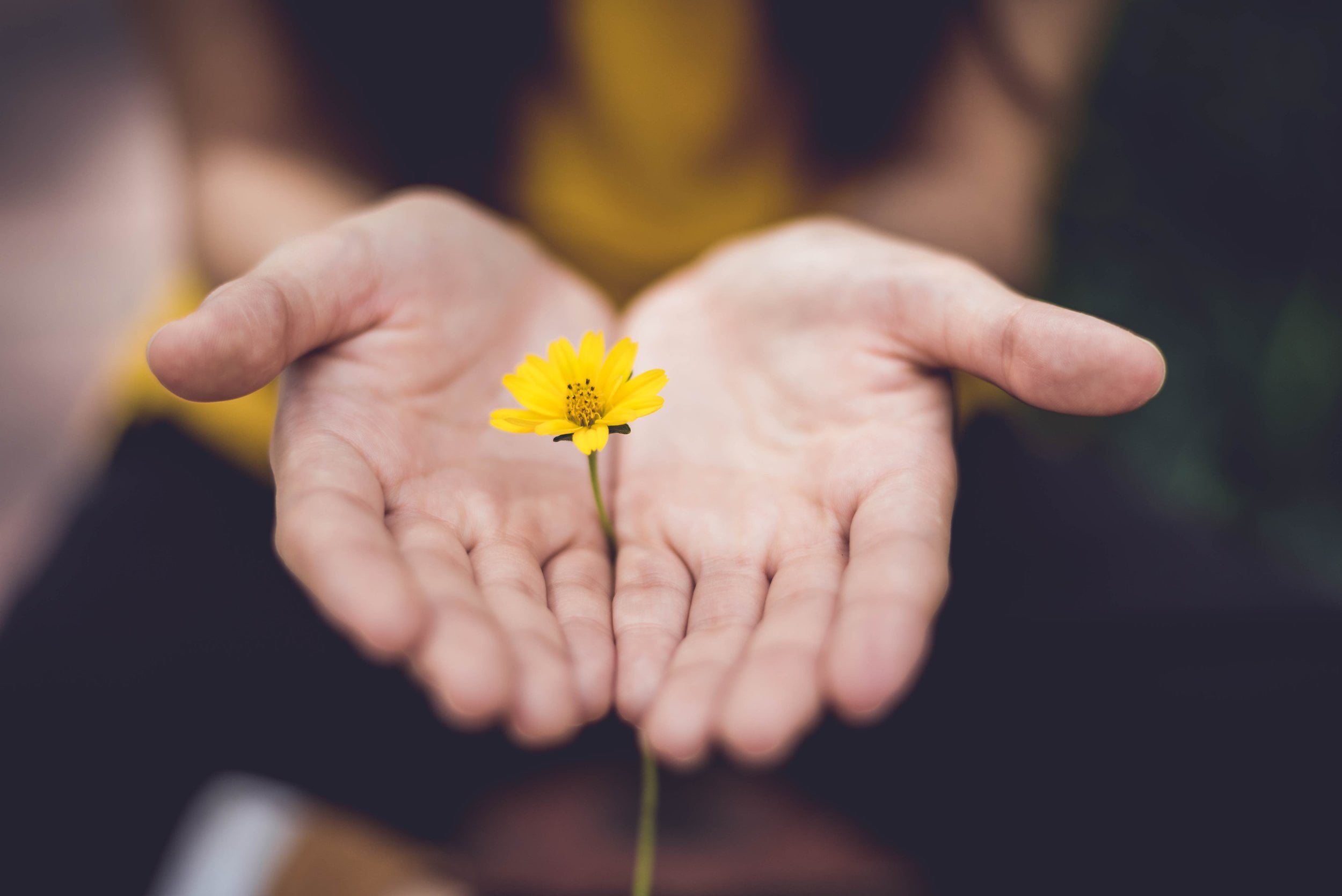 Unveiling the Potential of Acupuncture as a Complementary Therapy for Anxiety and Depression